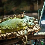 Ferien- Und Freizeitpark Weissenhaeuser 维森豪瑟斯坦德