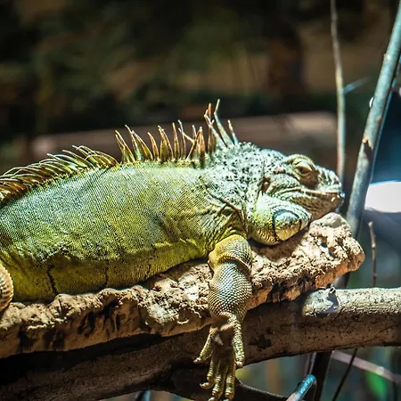 Ferien- Und Freizeitpark Weissenhaeuser 维森豪瑟斯坦德