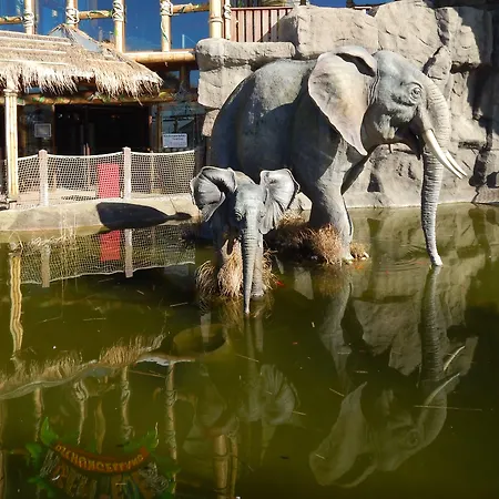 Ferien- Und Freizeitpark Weissenhaeuser 3* 维森豪瑟斯坦德