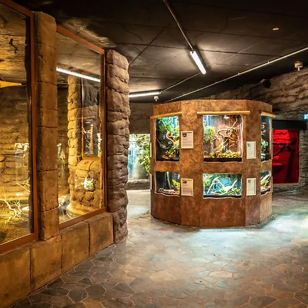 Ferien- Und Freizeitpark Weissenhaeuser 3* 维森豪瑟斯坦德