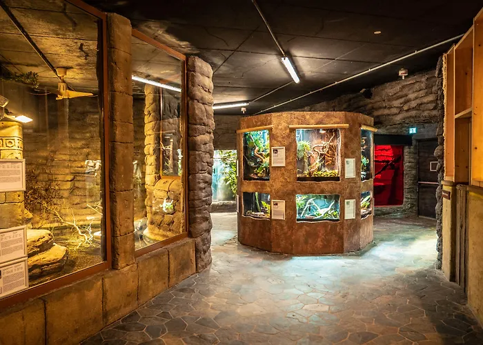 Ferien- Und Freizeitpark Weissenhaeuser 3* Weissenhauser Strand